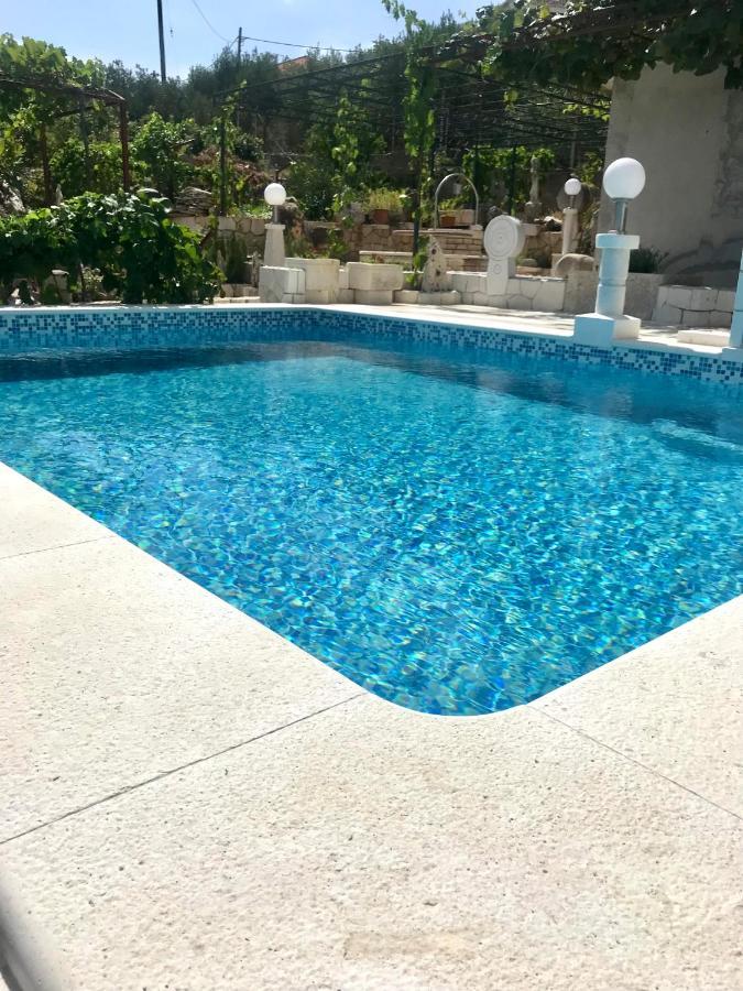 Apartman Ivan تروغير المظهر الخارجي الصورة